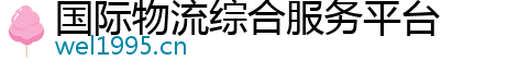 国际物流综合服务平台